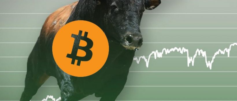 BITCOIN will thrive once again!